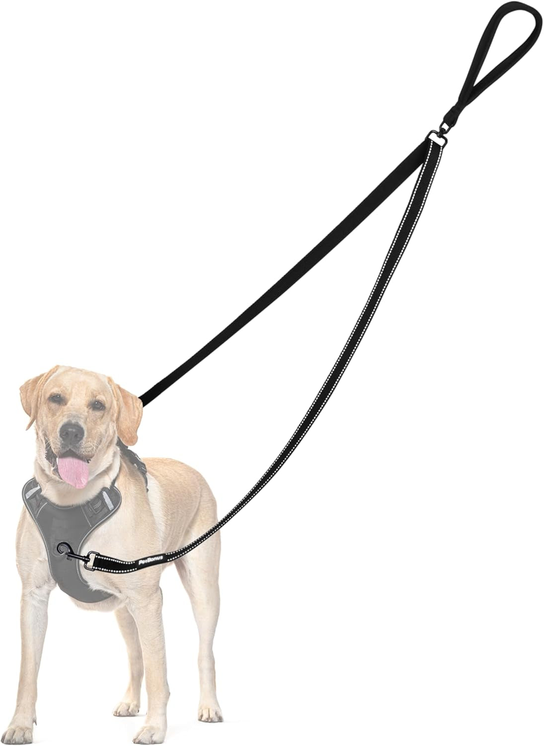 Two Point Control Dog Leash, No Tangle Training Walking Leashes | Soft Padded Handle, Reflective, Works with No Pull Harnesses, Converts to Single Lead for Medium Large Dogs, Black