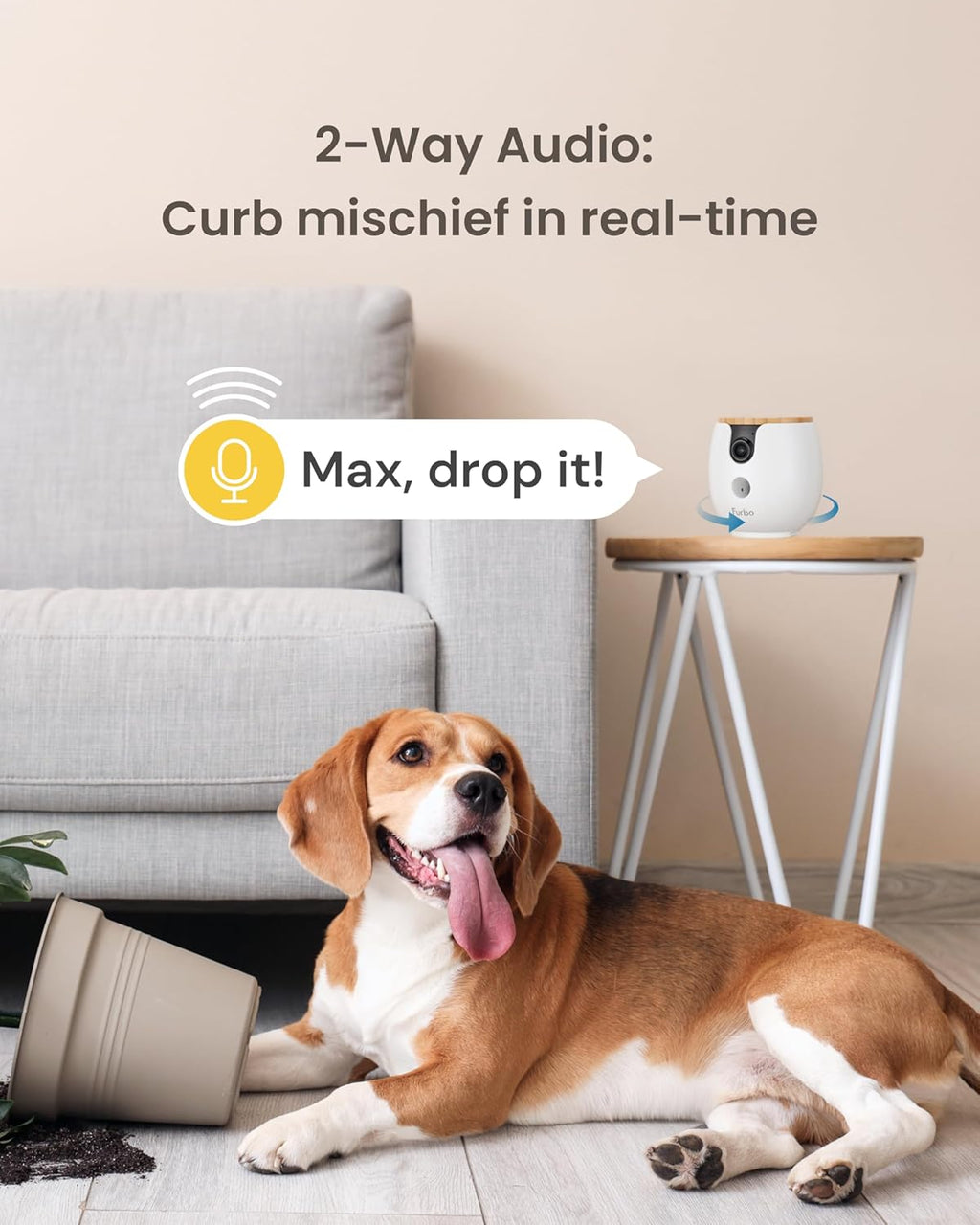 Mini 360° Pet Camera [No Monthly Fee] | Clear 2K QHD Video, 360° Rotating View, Barking/Meowing Alerts, 2-Way Audio, Color Night Vision, Pet Monitoring, No AI Alerts