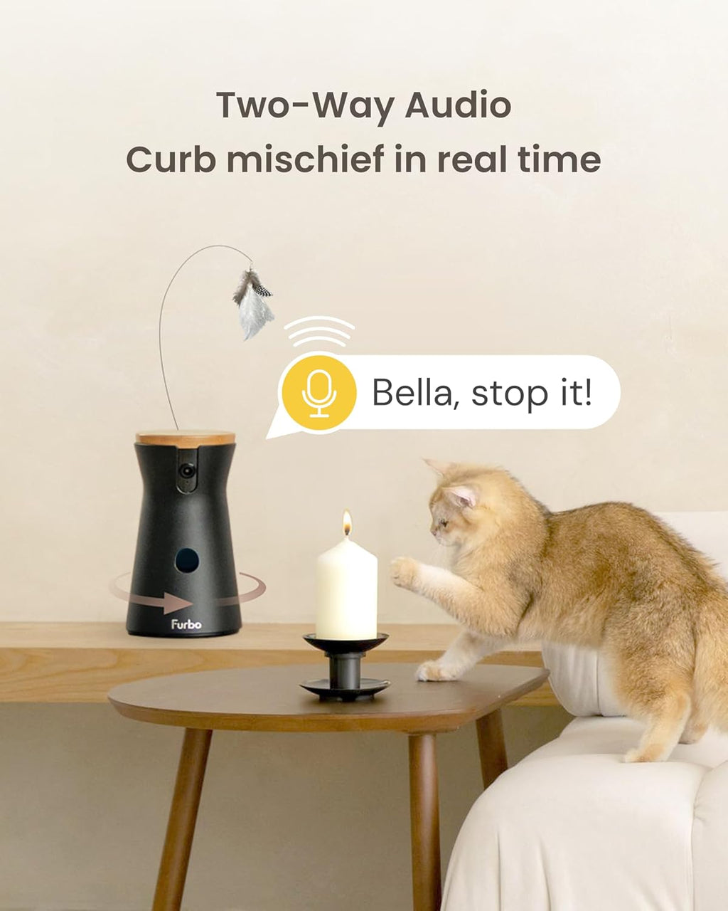 360° Cat Camera [No Monthly Fee] | 360° Rotating Live View, Meowing Alerts, Treat Toss, 2-Way Audio, Night Vision, Smart Home Kitten Monitoring, No AI Alerts