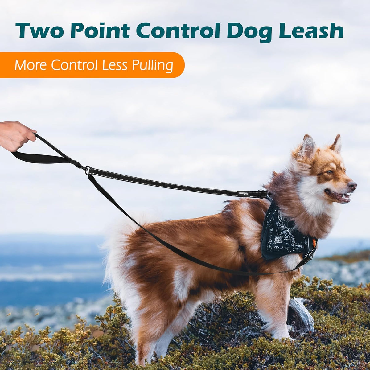 Two Point Control Dog Leash, No Tangle Training Walking Leashes | Soft Padded Handle, Reflective, Works with No Pull Harnesses, Converts to Single Lead for Medium Large Dogs, Black