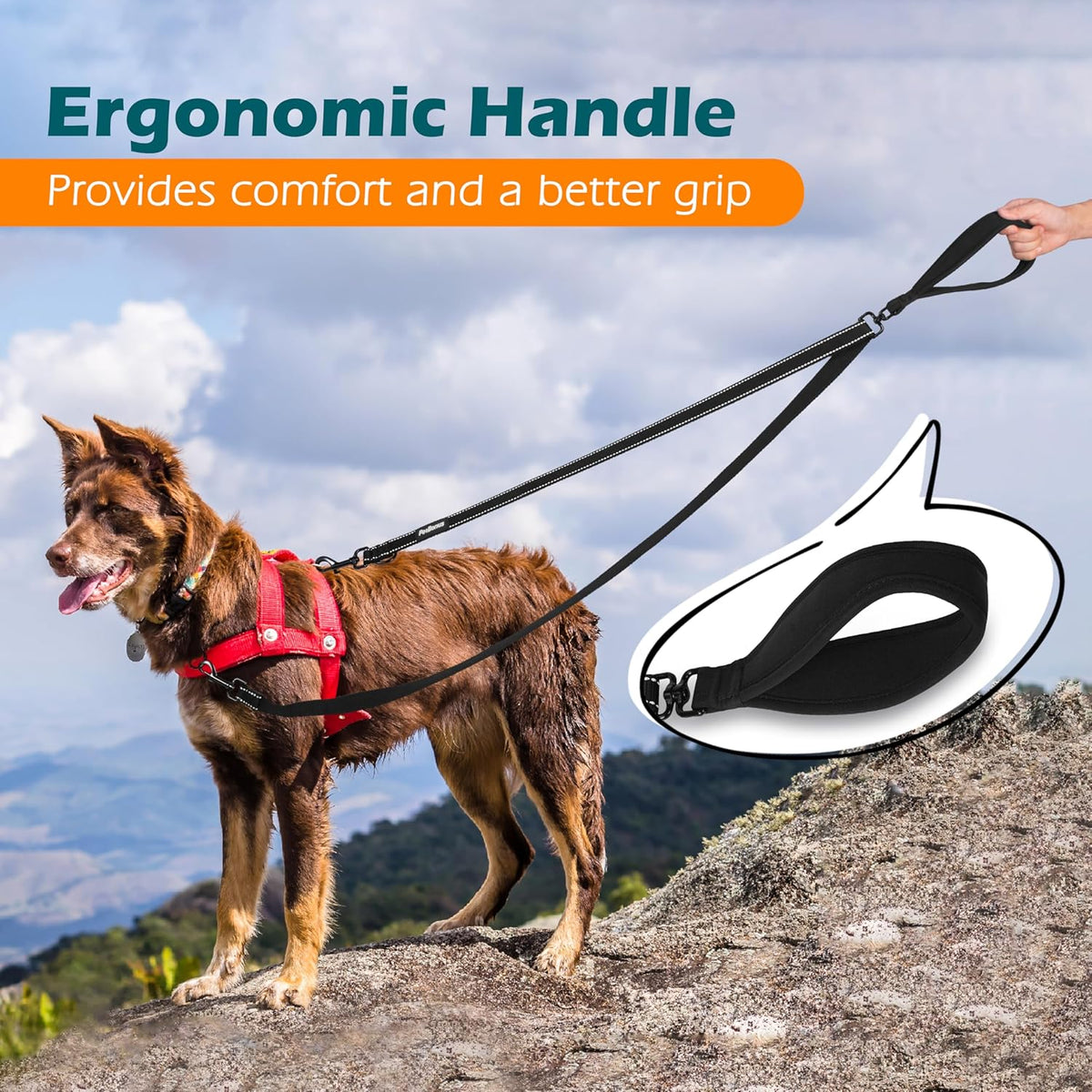 Two Point Control Dog Leash, No Tangle Training Walking Leashes | Soft Padded Handle, Reflective, Works with No Pull Harnesses, Converts to Single Lead for Medium Large Dogs, Black