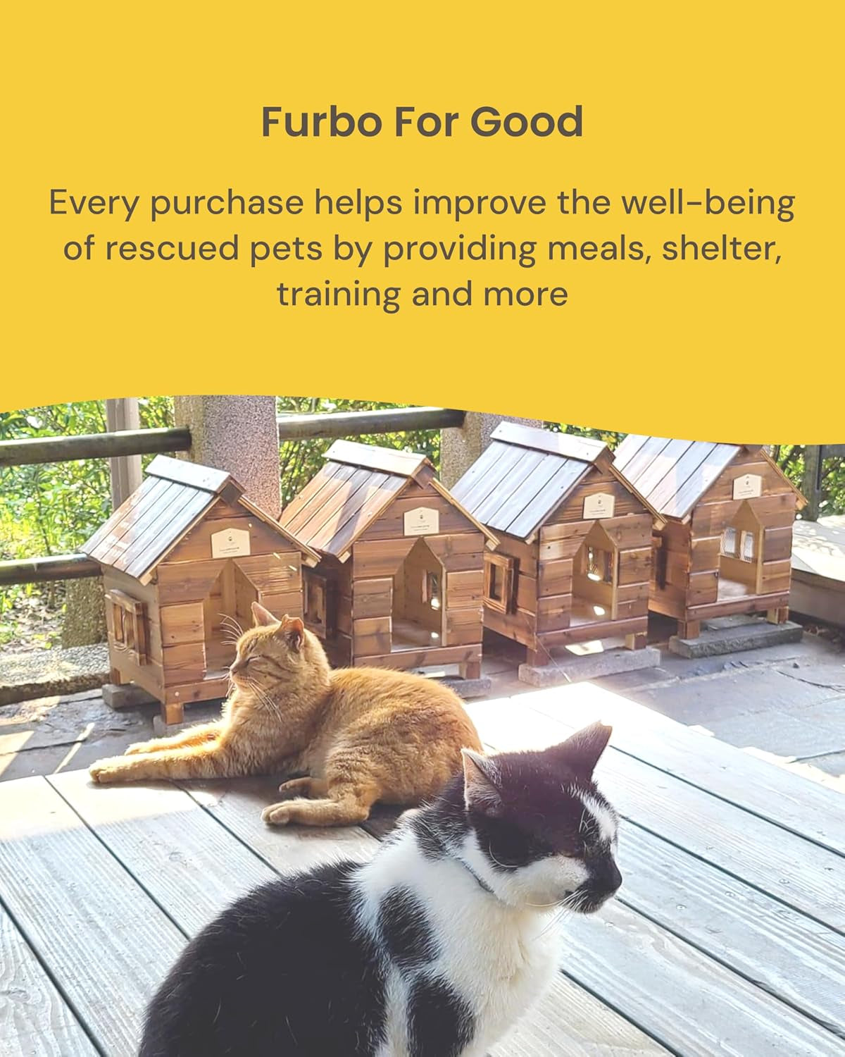 360° Cat Camera [No Monthly Fee] | 360° Rotating Live View, Meowing Alerts, Treat Toss, 2-Way Audio, Night Vision, Smart Home Kitten Monitoring, No AI Alerts