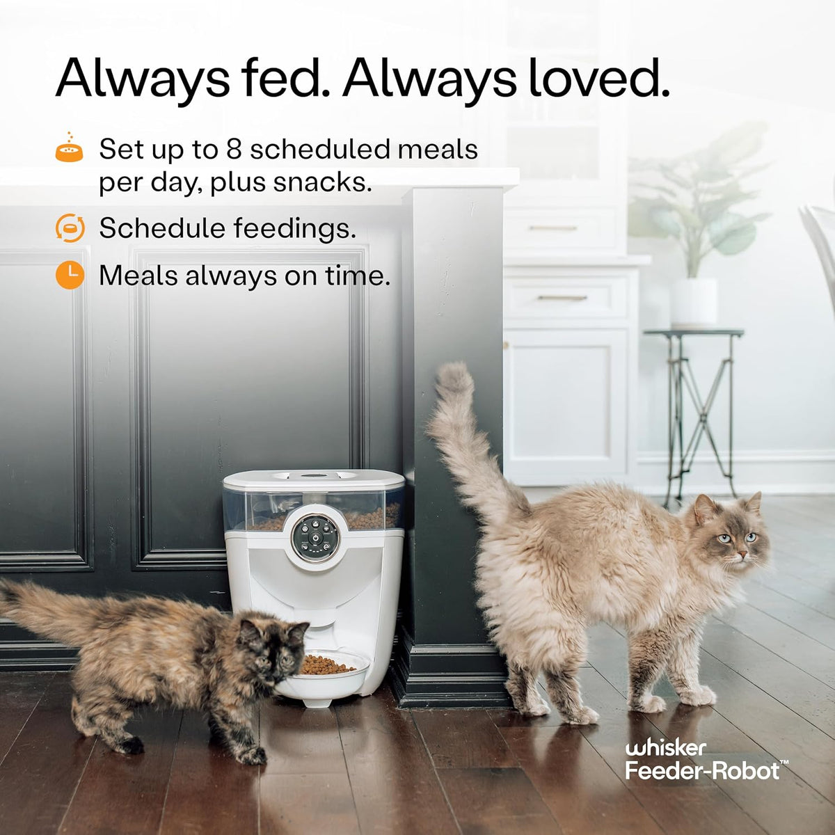 Feeder-Robot, White with Smoke-Grey Hopper | Smart, Automatic Pet Feeder, Feed Your Cat or Dog from Anywhere, Designed & Assembled in USA